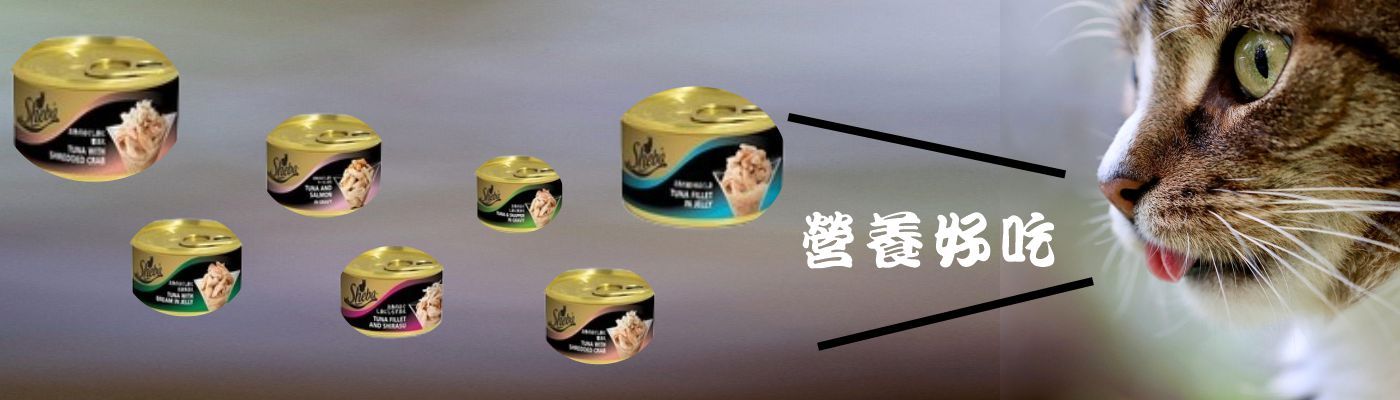 貓罐頭